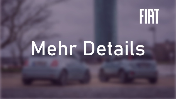 Fiat Panda und Fiat 500